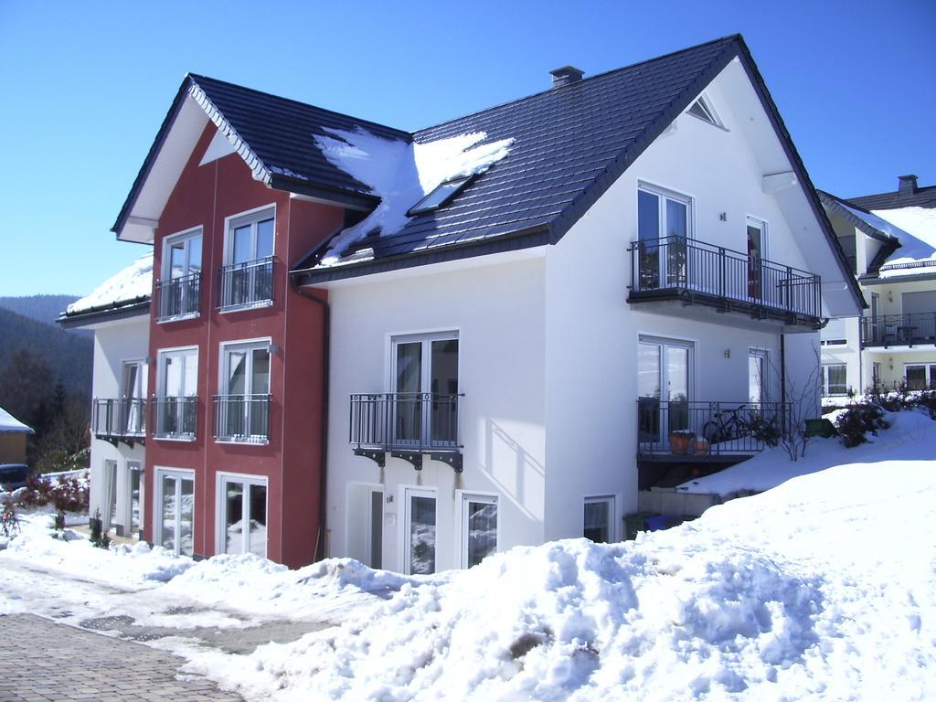 Ferienwohnung Zum Ritzhagen Willingen  Bagian luar foto