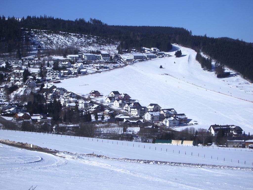 Ferienwohnung Zum Ritzhagen Willingen  Bagian luar foto