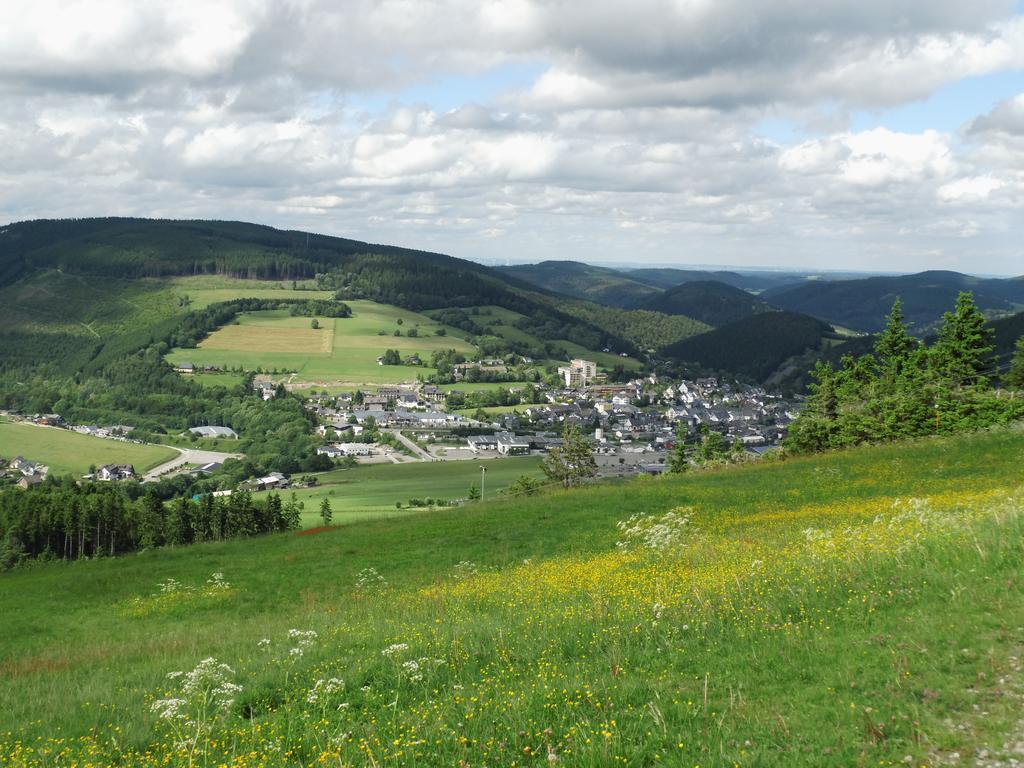 Ferienwohnung Zum Ritzhagen Willingen  Bagian luar foto